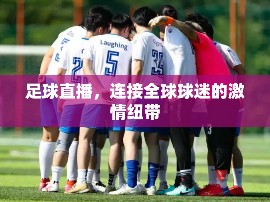 足球直播，连接全球球迷的激情纽带