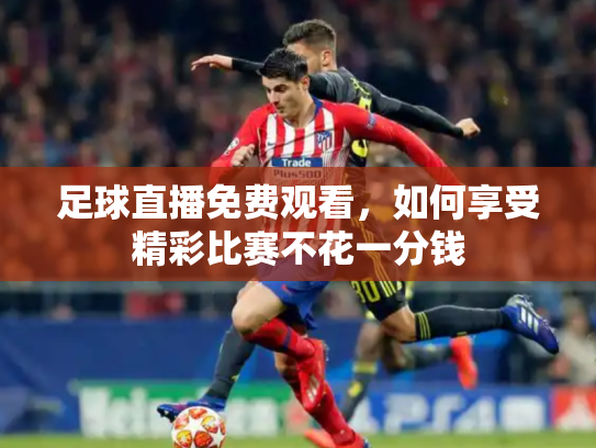 足球直播免费观看，如何享受精彩比赛不花一分钱
