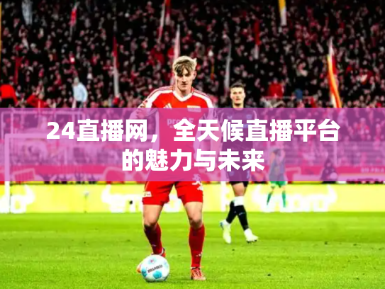 24直播网，全天候直播平台的魅力与未来