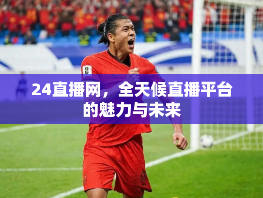 24直播网，全天候直播平台的魅力与未来