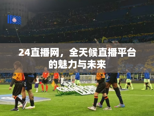 24直播网，全天候直播平台的魅力与未来