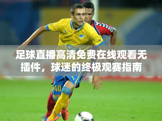 足球直播高清免费在线观看无插件，球迷的终极观赛指南