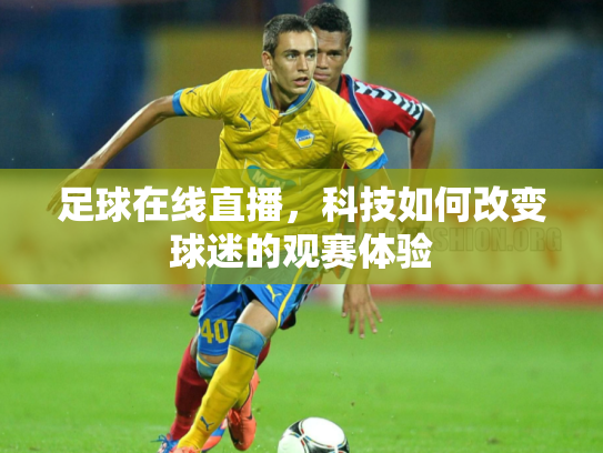 足球在线直播，科技如何改变球迷的观赛体验