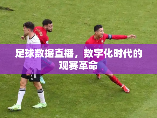 足球数据直播，数字化时代的观赛革命