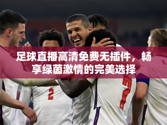 足球直播高清免费无插件，畅享绿茵激情的完美选择