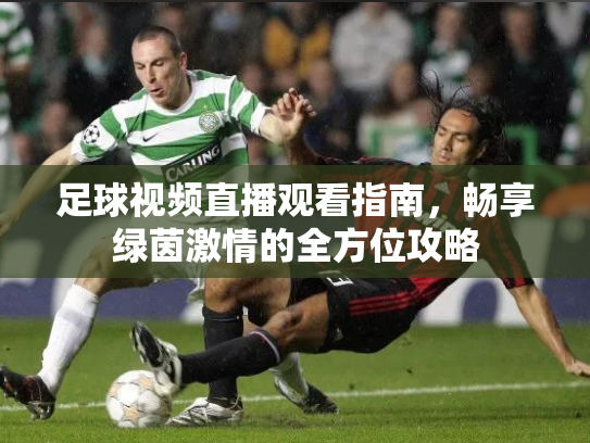 足球视频直播观看指南，畅享绿茵激情的全方位攻略