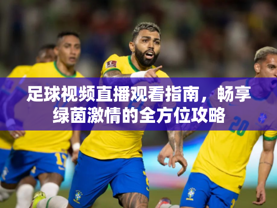 足球视频直播观看指南，畅享绿茵激情的全方位攻略