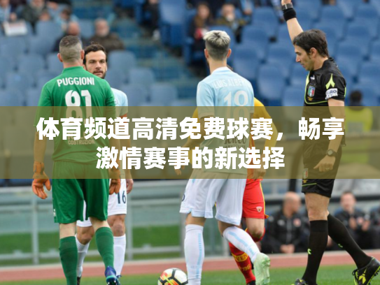 体育频道高清免费球赛，畅享激情赛事的新选择