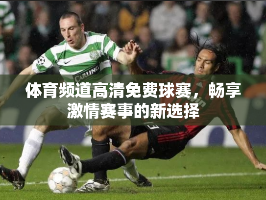 体育频道高清免费球赛，畅享激情赛事的新选择