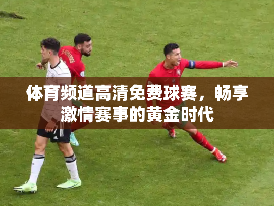 体育频道高清免费球赛，畅享激情赛事的黄金时代