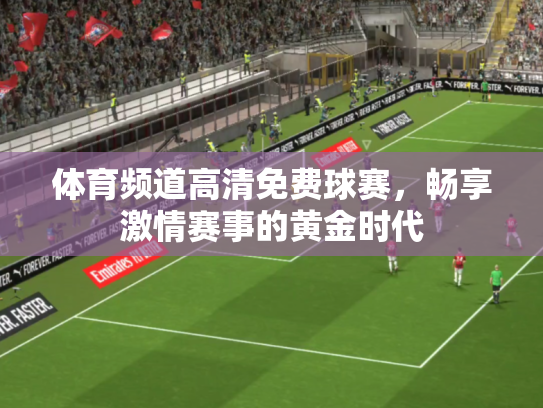体育频道高清免费球赛，畅享激情赛事的黄金时代