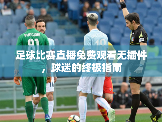 足球比赛直播免费观看无插件，球迷的终极指南