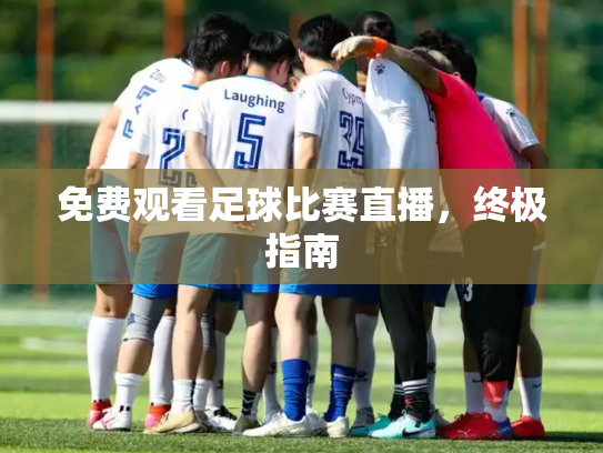 免费观看足球比赛直播，终极指南