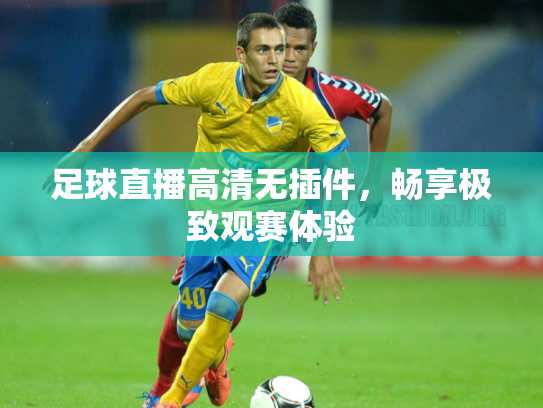 足球直播高清无插件，畅享极致观赛体验