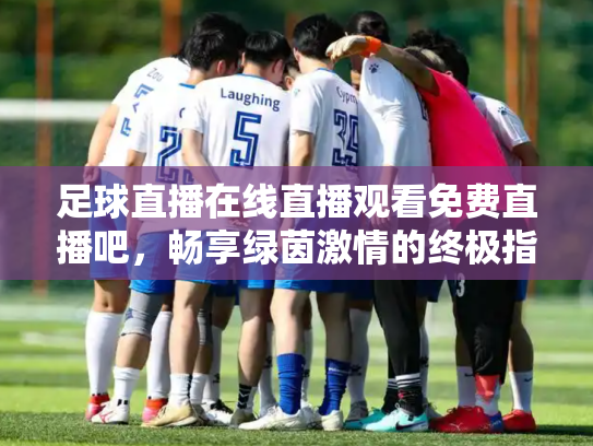 足球直播在线直播观看免费直播吧，畅享绿茵激情的终极指南
