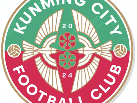 大邱FC队，韩国足球的坚韧象征与社区精神的熔炉