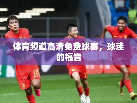 体育频道高清免费球赛，球迷的福音