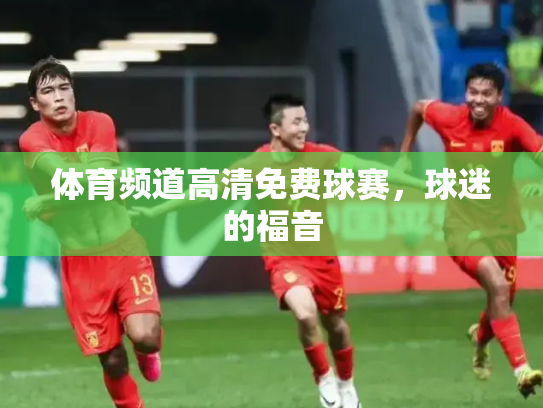 体育频道高清免费球赛，球迷的福音
