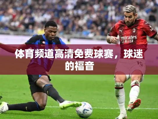 体育频道高清免费球赛，球迷的福音
