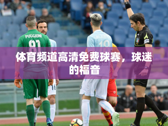 体育频道高清免费球赛，球迷的福音
