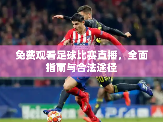 免费观看足球比赛直播，全面指南与合法途径