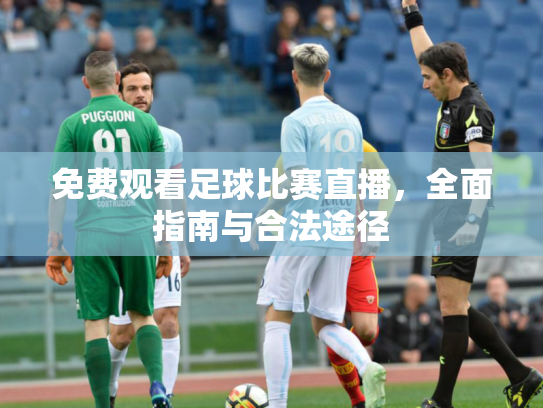 免费观看足球比赛直播，全面指南与合法途径