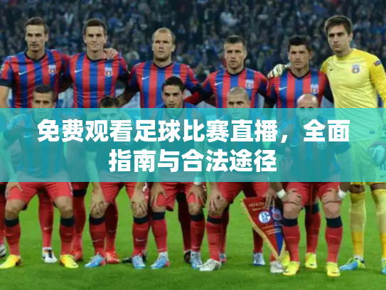 免费观看足球比赛直播，全面指南与合法途径