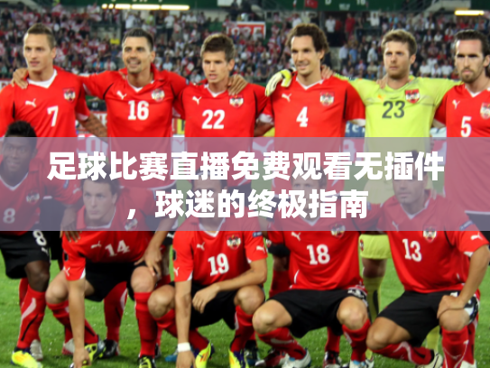 足球比赛直播免费观看无插件，球迷的终极指南