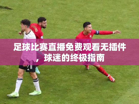 足球比赛直播免费观看无插件，球迷的终极指南