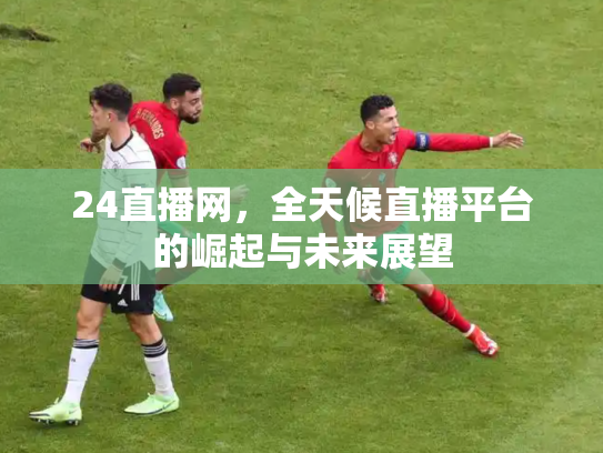 24直播网，全天候直播平台的崛起与未来展望