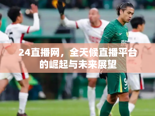 24直播网，全天候直播平台的崛起与未来展望