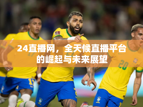 24直播网，全天候直播平台的崛起与未来展望