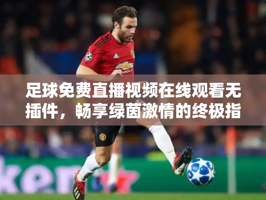 足球免费直播视频在线观看无插件，畅享绿茵激情的终极指南