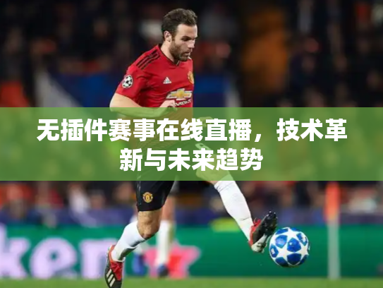 无插件赛事在线直播，技术革新与未来趋势