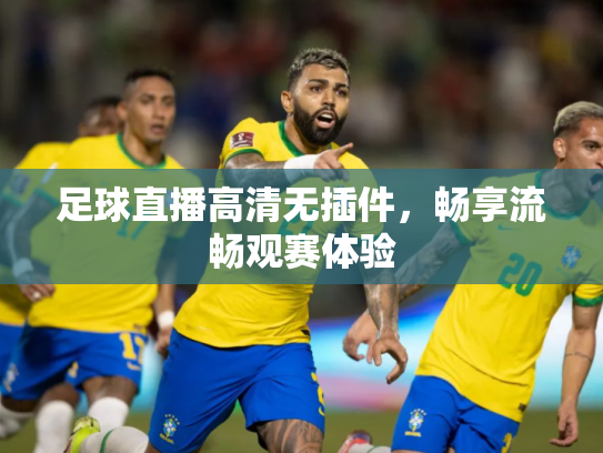 足球直播高清无插件，畅享流畅观赛体验