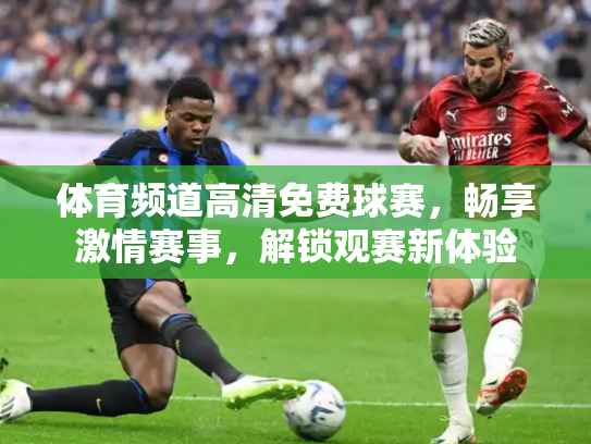 体育频道高清免费球赛，畅享激情赛事，解锁观赛新体验