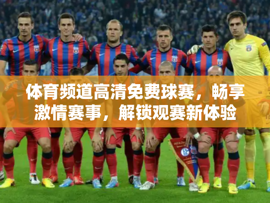 体育频道高清免费球赛，畅享激情赛事，解锁观赛新体验