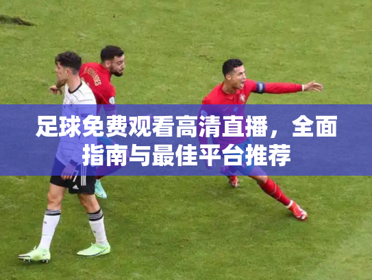 足球免费观看高清直播，全面指南与最佳平台推荐