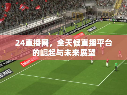 24直播网，全天候直播平台的崛起与未来展望