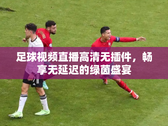 足球视频直播高清无插件，畅享无延迟的绿茵盛宴