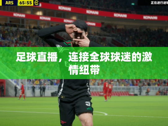 足球直播，连接全球球迷的激情纽带