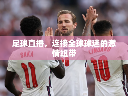 足球直播，连接全球球迷的激情纽带