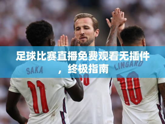 足球比赛直播免费观看无插件，终极指南
