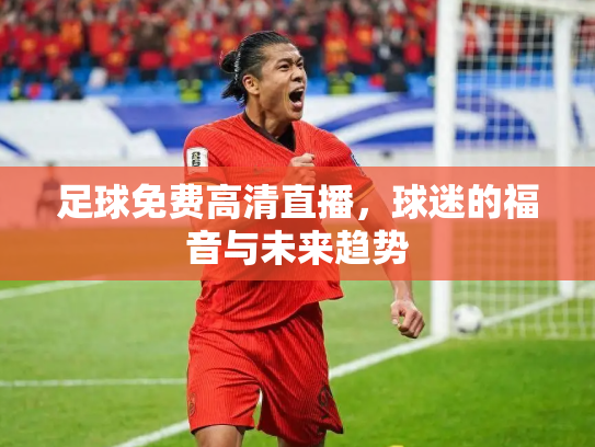 足球免费高清直播，球迷的福音与未来趋势