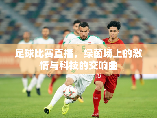 足球比赛直播，绿茵场上的激情与科技的交响曲