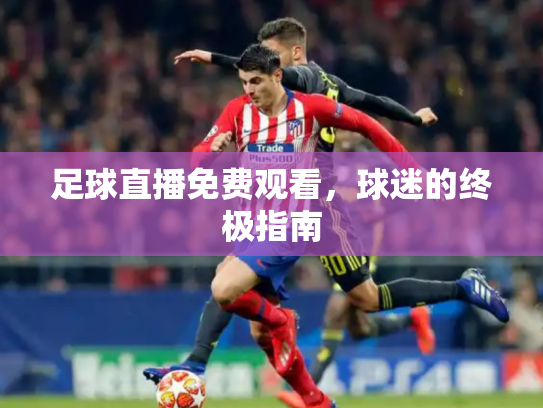 足球直播免费观看，球迷的终极指南