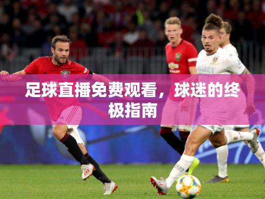 足球直播免费观看，球迷的终极指南