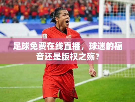 足球免费在线直播，球迷的福音还是版权之殇？
