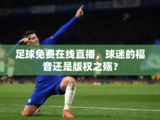 足球免费在线直播，球迷的福音还是版权之殇？