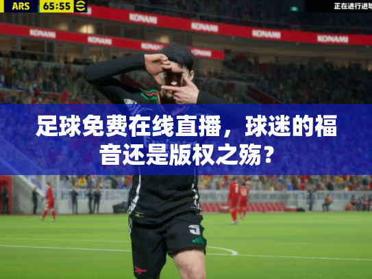 足球免费在线直播，球迷的福音还是版权之殇？